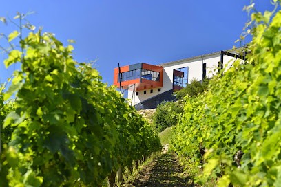 Château Croizille, Vignoble à Saint-Laurent-des-Combes