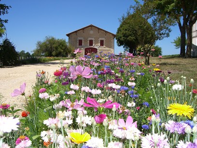LE TEMPLE DE TOURTEYRON - Jean-Pierre, Mélissa & Loïc BERGEY, Vignoble à Valeyrac