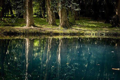 Château De Beaulon, Vignoble à Saint-Dizant-du-Gua