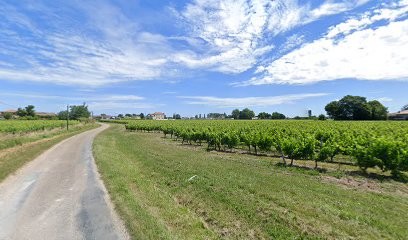 Château d'Arcole, Vignoble à Saint-Sulpice-de-Faleyrens