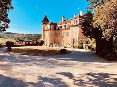 Domaine Eric De Suremain - Château De Monthelie, Vignoble à Monthelie