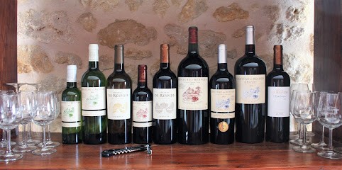 Château de Respide - Chai, Vignoble à Langon