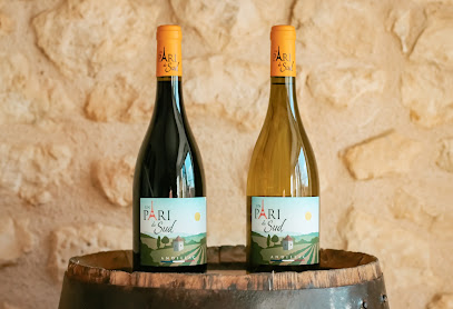 Un Pari Du Sud Vignoble à Andillac