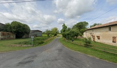 Henri Massé, Vignoble à Moulon