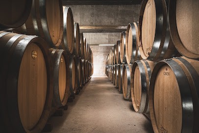 Champagne Pierre Paillard, Vignoble à Bouzy