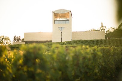 Château Faugères, Vignoble à Saint-Étienne-de-Lisse