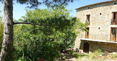 Domaine Capitelle Des Salles / Estelle Et Frédéric, Vignoble à Saint-Jean-de-la-Blaquière
