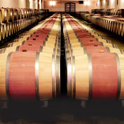 Château Tayac, Vignoble à Soussans