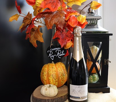 Champagne Roy-Raulin, Vignoble à Villers-Marmery