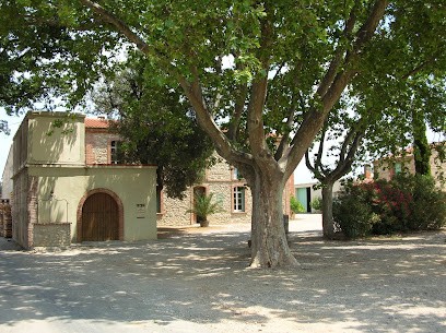 Chateau PLANERES / JAUBERT Et NOURY, Vignoble à Saint-Jean-Lasseille