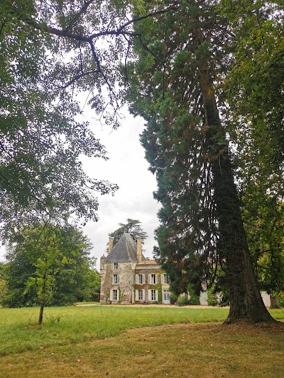 Château D'Orignac, Vignoble à Saint-Ciers-du-Taillon