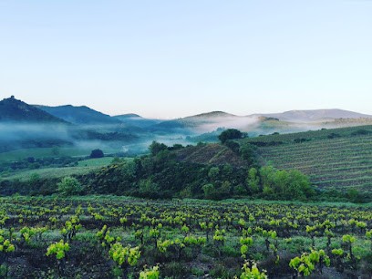Domaine Montluzia, Vignoble à Cascastel-des-Corbières