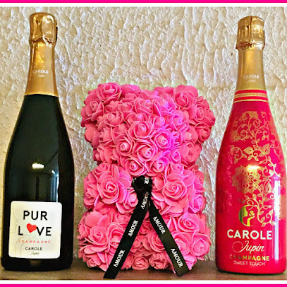 Champagne Carole Jupin Vignoble à Val de Livre