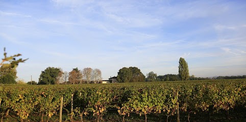 Château Peyfaures, Vignoble à Génissac