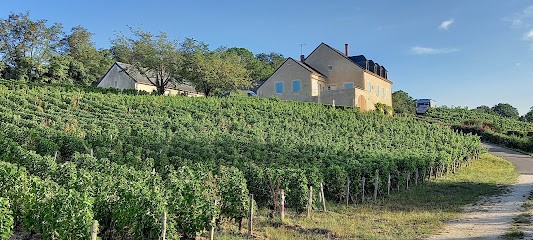 Domaine Julie Et Patrick Noël, Vignoble à Saint-Satur