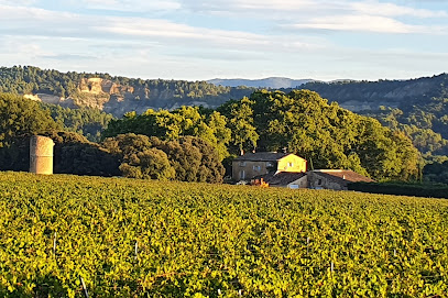 Domaine Le Grand Saint Julien Vignoble à Rustrel