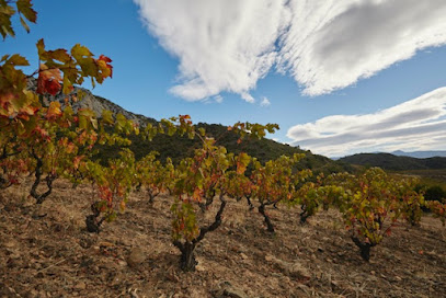 Domaine Des Soulanes Vignoble à Tautavel