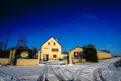 Noizet Philippe, Vignoble à Thil