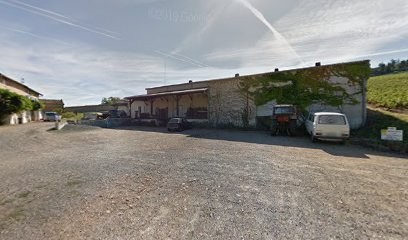 Domaine Christian Miolane, Vignoble à Salles-Arbuissonnas-en-Beaujolais