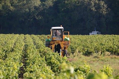 Cocktails Du Plessis, Vignoble à Saint-Philbert-de-Grand-Lieu