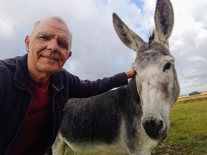 Falloux Et Fils SCEA, Vignoble au Puy-Notre-Dame