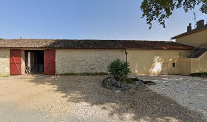 Chateau Du Paradis, Vignoble à Vignonet