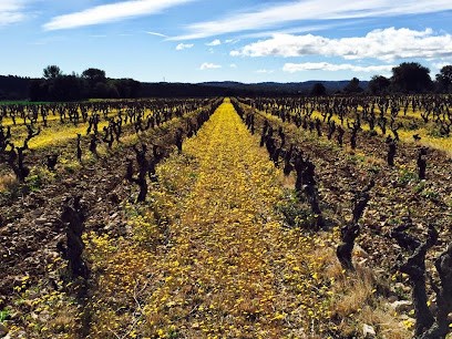 Château La Salade Saint Henri, Vignoble à Saint-Mathieu-de-Tréviers
