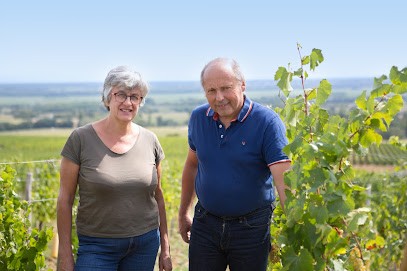 Domaine Giroud, Vignoble à Uchizy