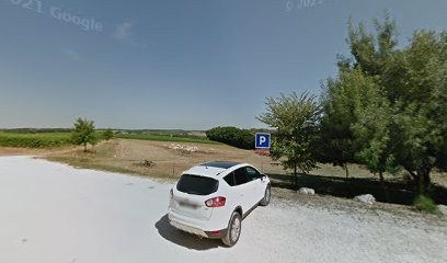 Société civile viticole Béraut, Vignoble à Montréal