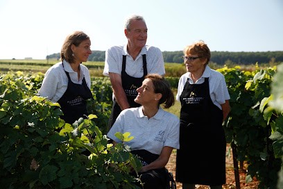 Champagne Briaux Lenique, Vignoble à Mardeuil