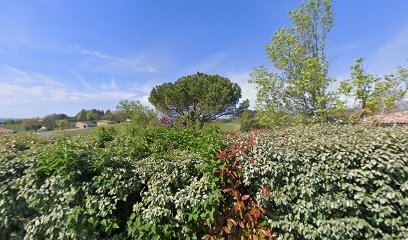 Cazenave Jean-Luc, Vignoble à Saint-Martin-de-Sescas