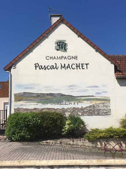 Champagne Pascal MACHET, Vignoble à Vaudemange