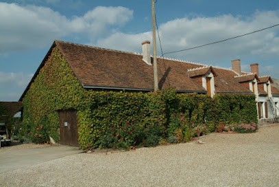 Domaine de Marcé, Vignoble à Oisly