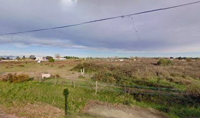 Domaine de Rancia SCEA, Vignoble à Aigues-Mortes