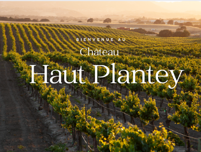 Chateau Haut-Plantey Vignoble à Civrac-en-Médoc