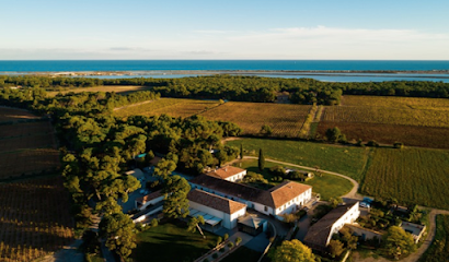 Domaine Du Mas Neuf Vignoble à Vic-la-Gardiole