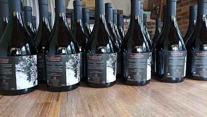 Domaine Plantavin Vignoble à Duravel