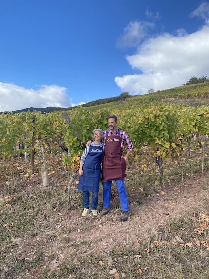 Vinsbf - Ammerschwihr Vignoble à Ammerschwihr