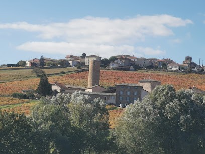 Domaine Des Tours S.C.I, Vignoble à Saint-Étienne-la-Varenne