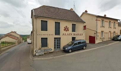 Champagne Alain Bailly, Vignoble à Serzy-et-Prin