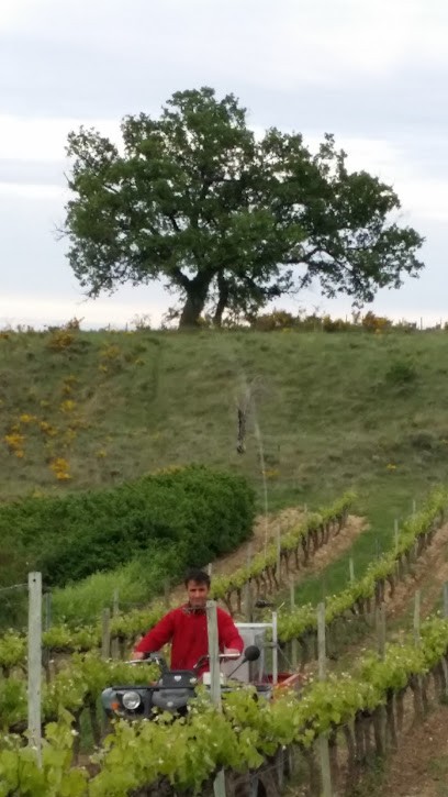 Les Vigneaux / EARL Du Serre De Gouy, Vignoble à Valvignères