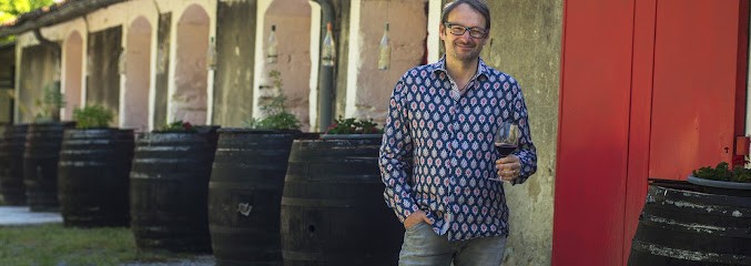 Château Puech Redon, Vignoble à Puechredon