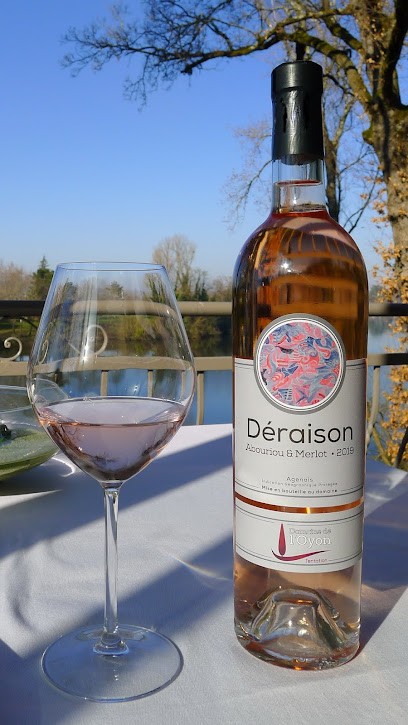 Domaine de l'Oyon, Vignoble à Dolmayrac