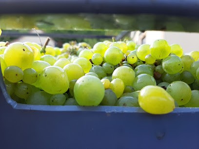 Champagne Doyard Bernard Et Bertrand, Vignoble à Vindey