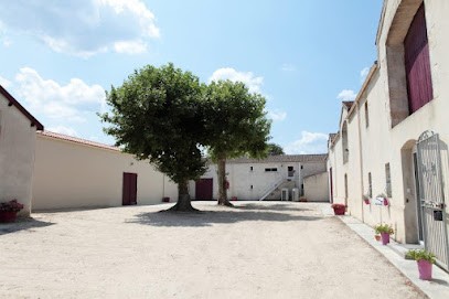 Château Begadan, Vignoble à Bégadan