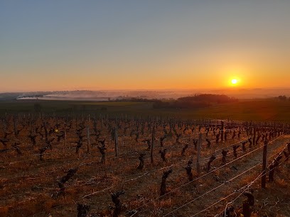 CAVE PREVOST, Vignoble à Vignoux-sous-les-Aix