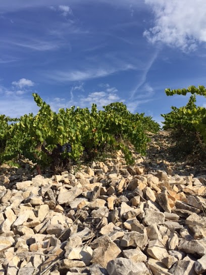 Domaine Du Pourra, Vignoble à Sablet