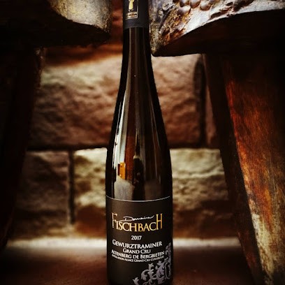 Domaine Fischbach - Vins D'Alsace, Vignoble à Traenheim