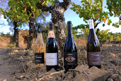 DOMAINE LES JALANS, Vignoble à Tourouzelle