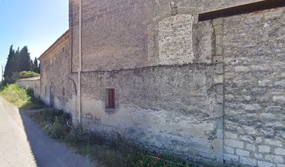 Mas Saint Blancard Vente Vins Domaine Hivernaty, Vignoble à Aimargues